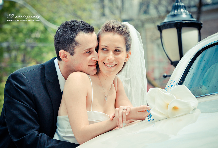 Holy Blossom Temple Wedding