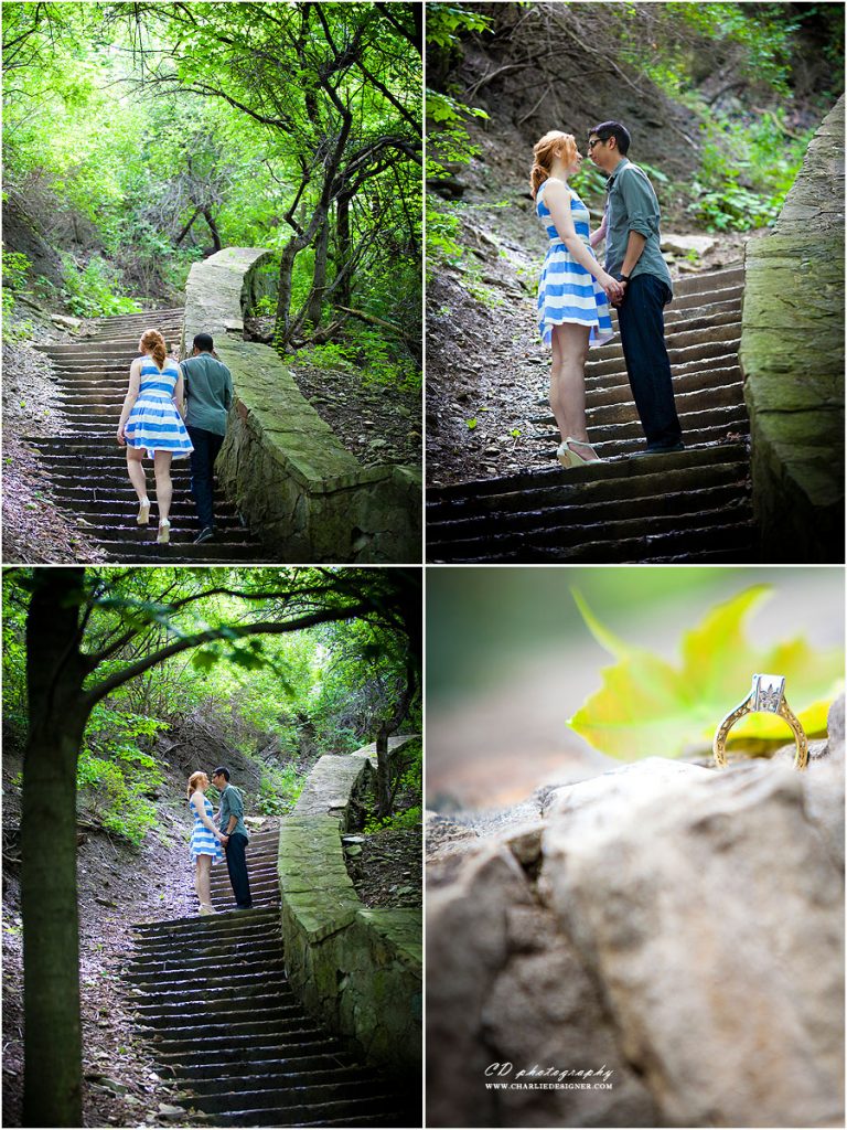 Sam Lawrence Park Engagement